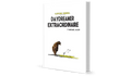 Imaginative Adventure / Inspirational Fiction / Young Adult
